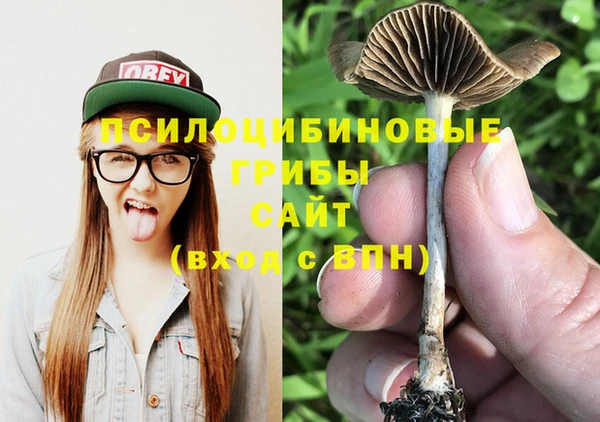 трава Алексин