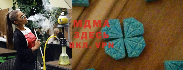 прущие грибы Михайлов