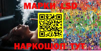 стафф Дубна
