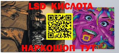 стафф Дубна