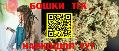 стафф Дубна