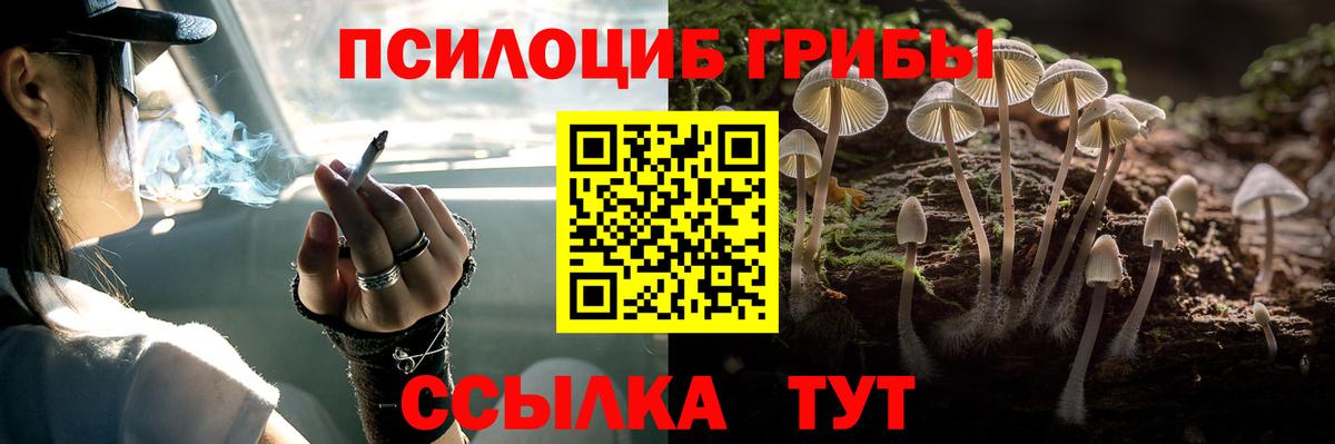 Псилоцибиновые грибы Magic Shrooms  Вход с VPN  где купить наркоту  Люберцы 