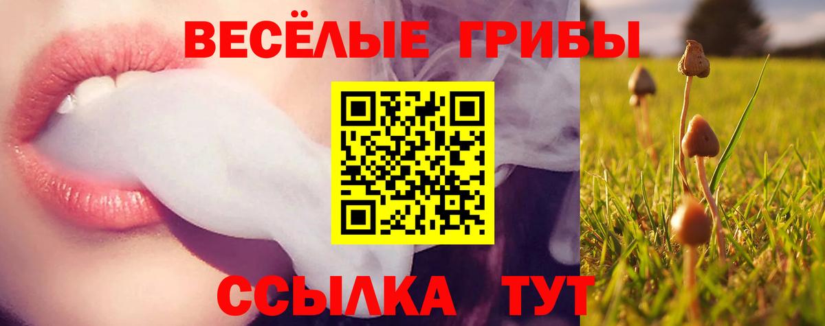 Галлюциногенные грибы Cubensis Люберцы